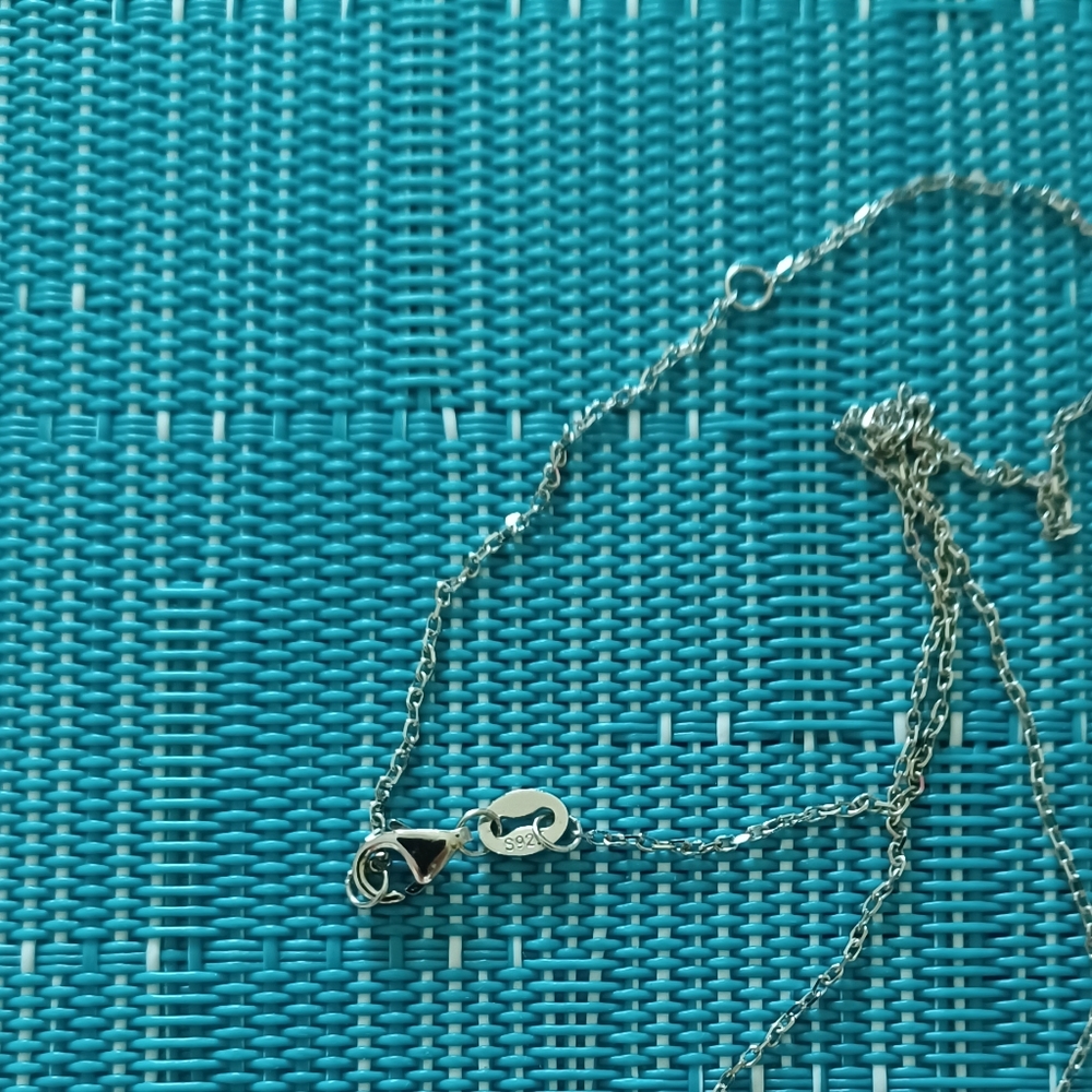 Silver Turtle Jewelry Set - Picture 2 of 2